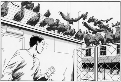 Illustration of the Scaring Crow